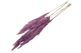 French Purple Pampas Bouquet